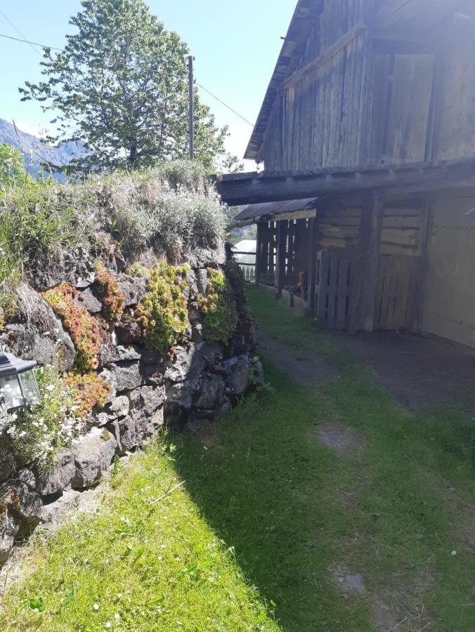 Apartmán Casa Soraya Falcade Exteriér fotografie